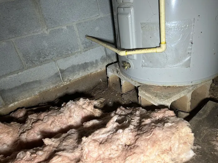 Crawl Space Ninja of Athens Picture 4