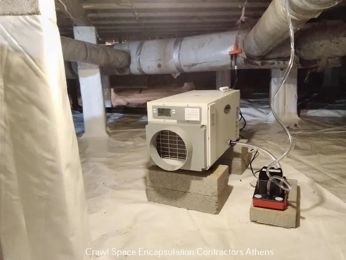 Crawl Space Ninja of Athens Picture 7