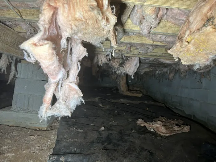 Crawl Space Ninja of Athens Picture 8