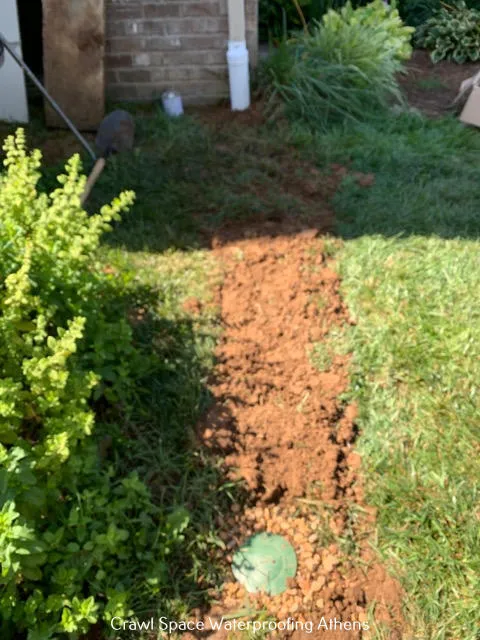 Crawl Space Ninja of Athens Picture 9