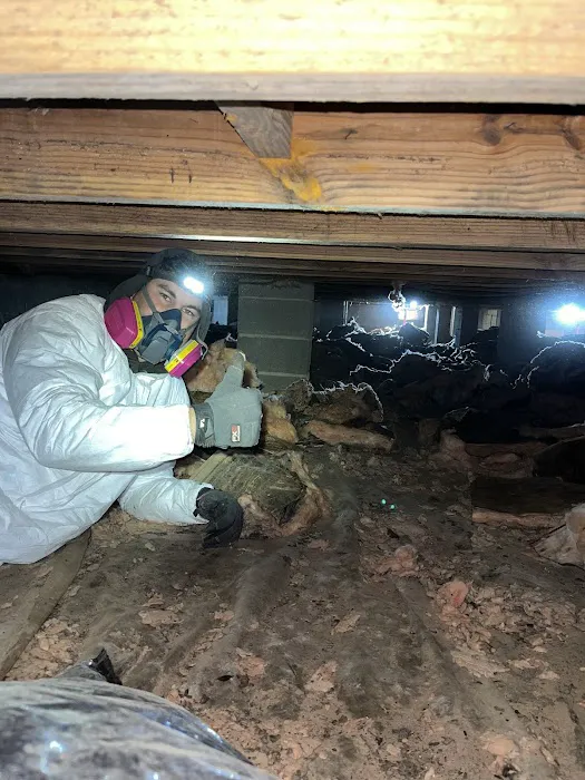 Crawlspace Medic of Greater Athens Picture 7