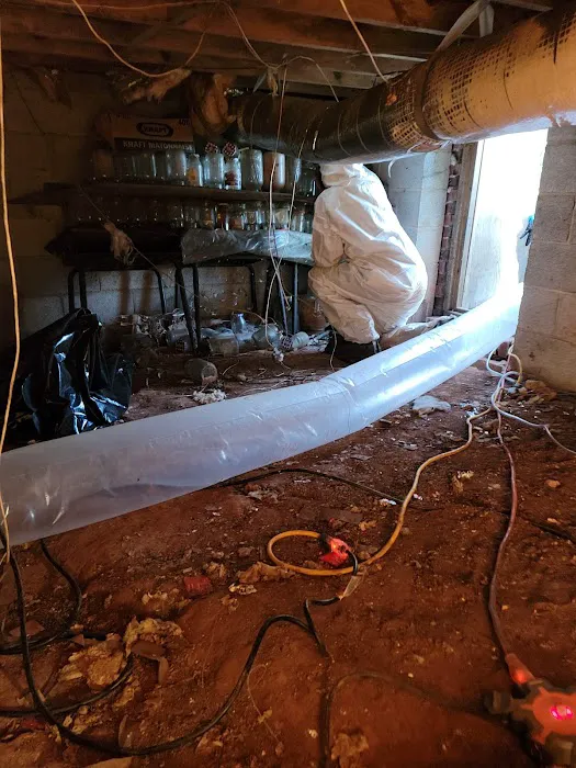 Cook's Proclean & Restoration Picture 10