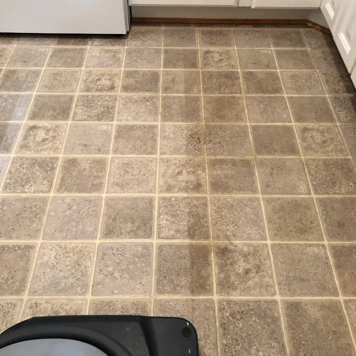 Classic City ChemDry Picture 5