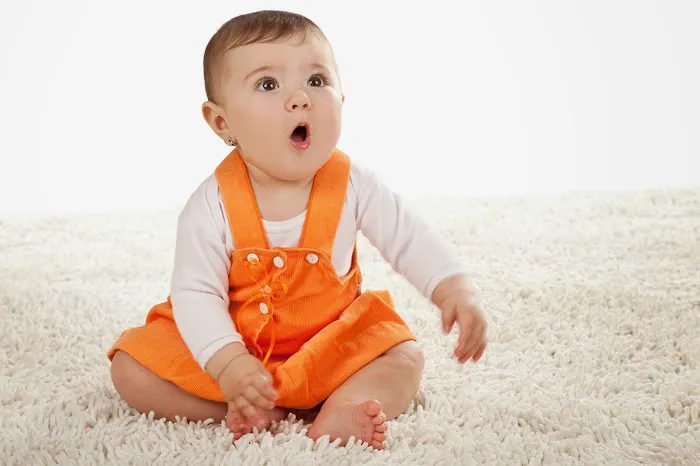 Classic City ChemDry Picture 8