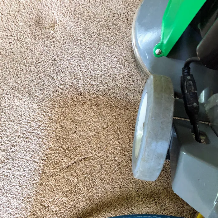 Classic City ChemDry Picture 9