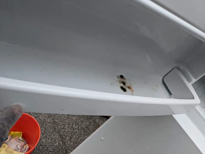 B&D Cleaning Services, LLC Picture 6