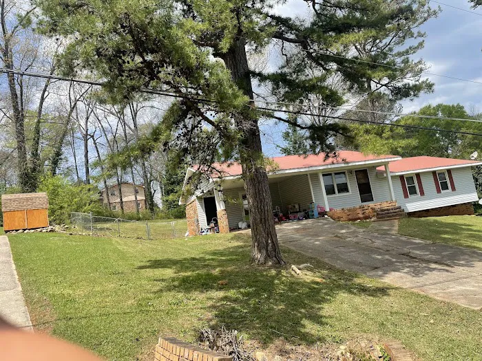 Tony’s Lawn Care & House Restoration LLC. Picture 5