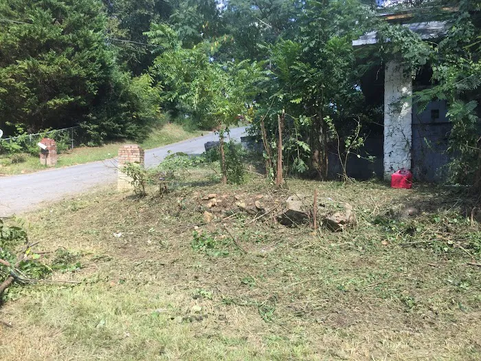 Tony’s Lawn Care & House Restoration LLC. Picture 6