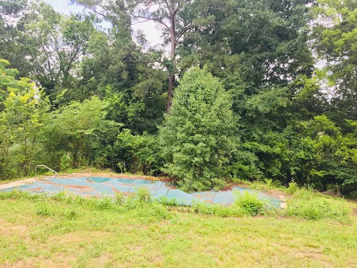 Tony’s Lawn Care & House Restoration LLC. Picture 10