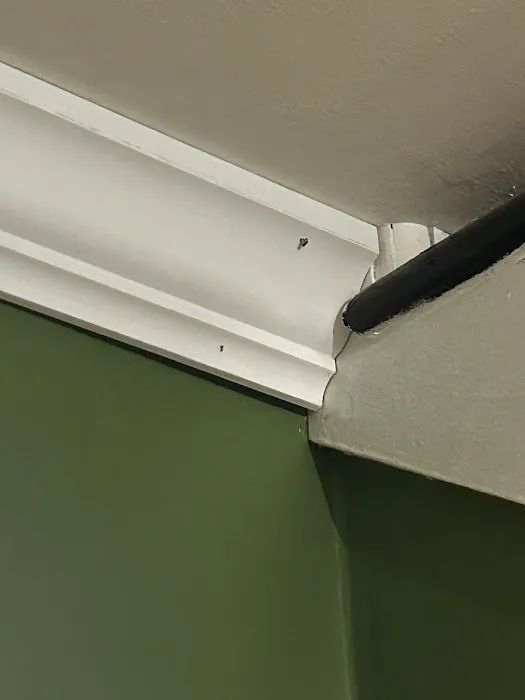 Discount Painting Picture 5