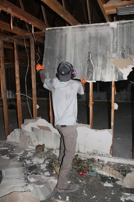 Virotect Restoration LLC Picture 2