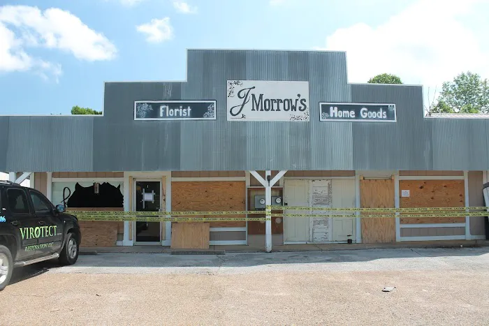 Virotect Restoration LLC Picture 4