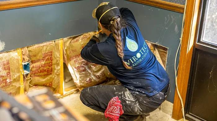 Virotect Restoration LLC Picture 5