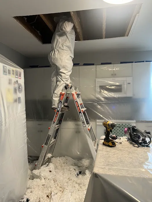 Virotect Restoration LLC Picture 9