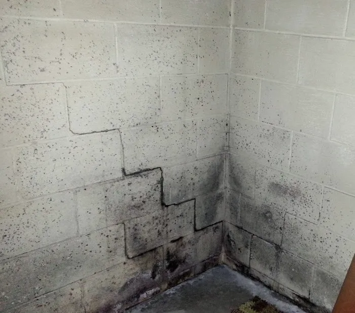 SouthernDry Waterproofing & Foundation Repair Specialist Picture 1