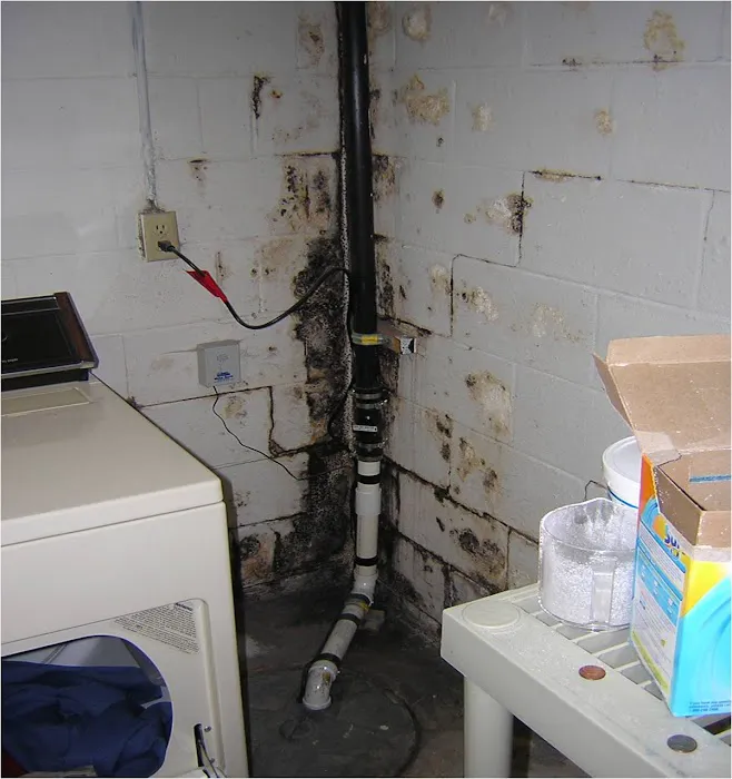 SouthernDry Waterproofing & Foundation Repair Specialist Picture 8