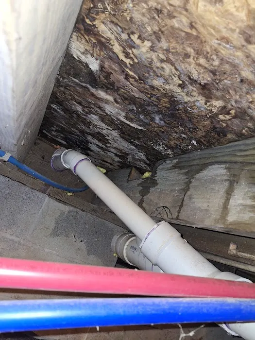 Keel Restoration Picture 5