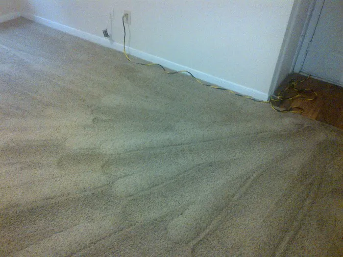 Extreme Services Picture 2