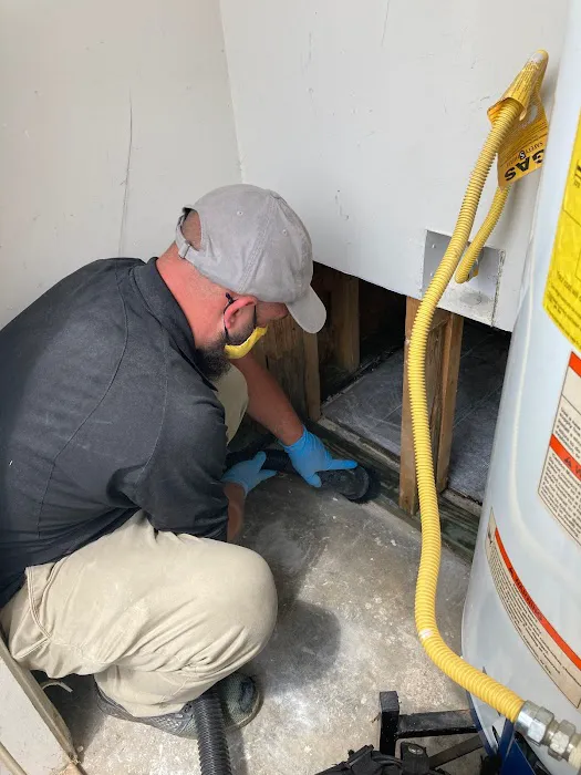 PuroClean of Birmingham Picture 9