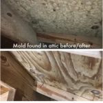 Alabama Mold And Water, LLC