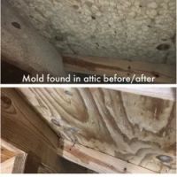 Alabama Mold And Water, LLC ico