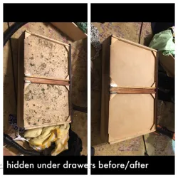 Alabama Mold And Water, LLC Picture 2