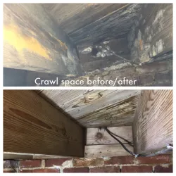 Alabama Mold And Water, LLC Picture 6
