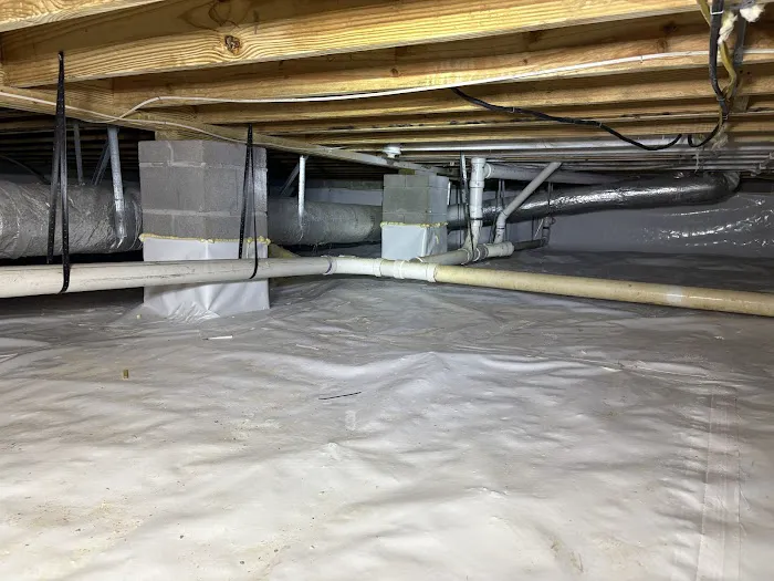 Alabama Mold And Water, LLC Picture 3