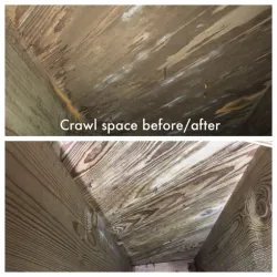 Alabama Mold And Water, LLC Picture 4