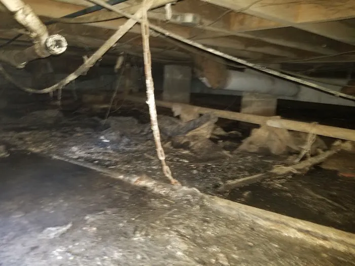 Prime Disaster Specialists Picture 4