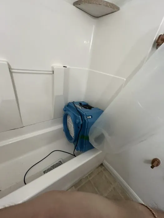 Prime Disaster Specialists Picture 5