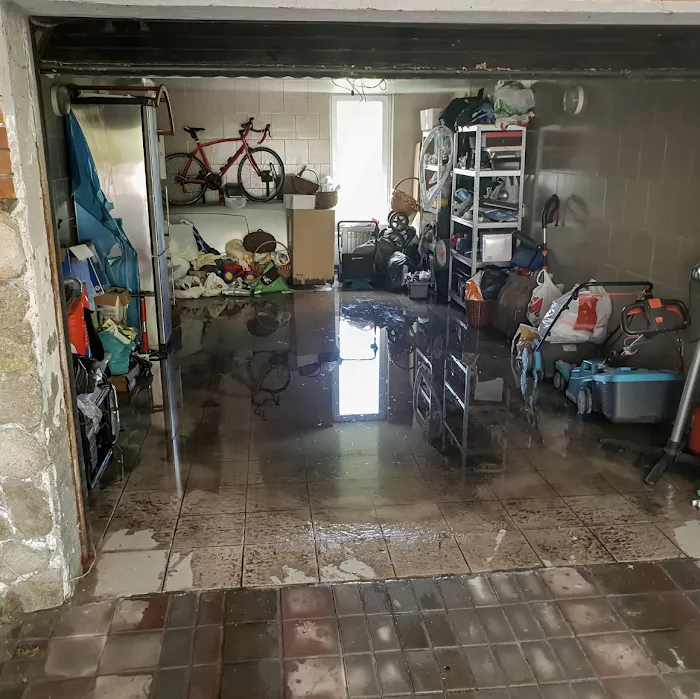 Prime Disaster Specialists Picture 8