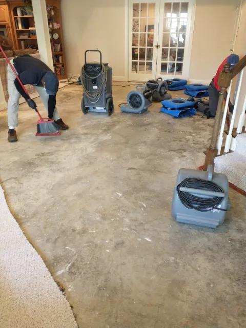 To The Rescue! Picture 10