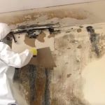 Mold & Mildew Solutions, LLC