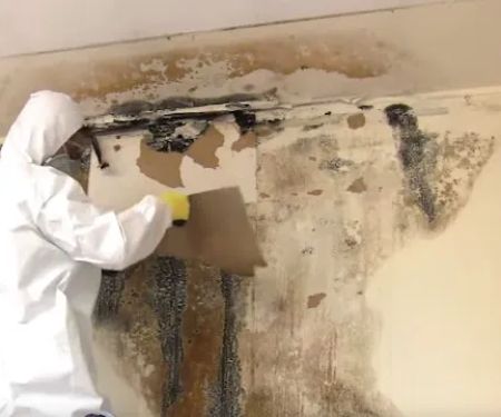 Mold & Mildew Solutions, LLC