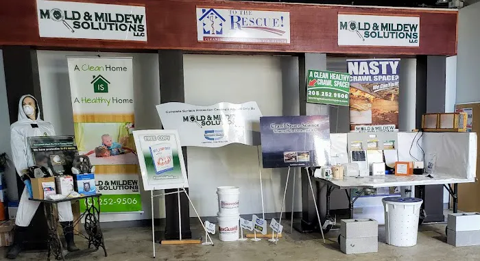 Mold & Mildew Solutions, LLC Picture 5