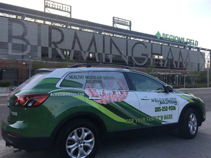 Mold & Mildew Solutions, LLC Picture 7