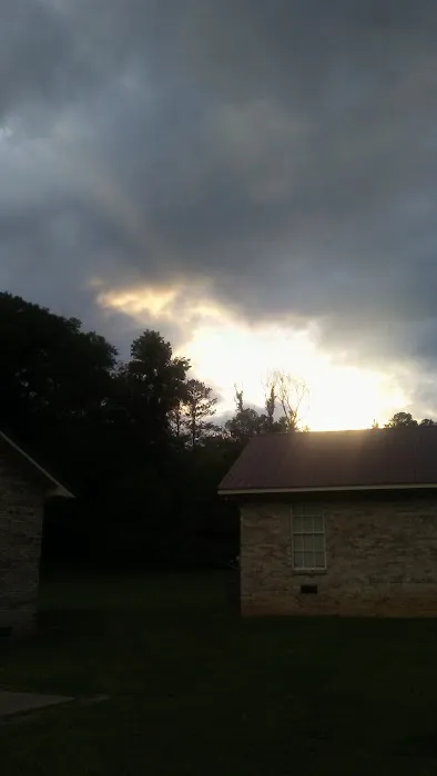 Service team of professionals Picture 1