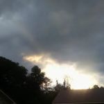 Service team of professionals