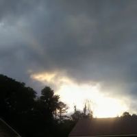 Service team of professionals ico