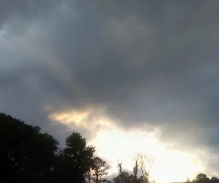 Service team of professionals