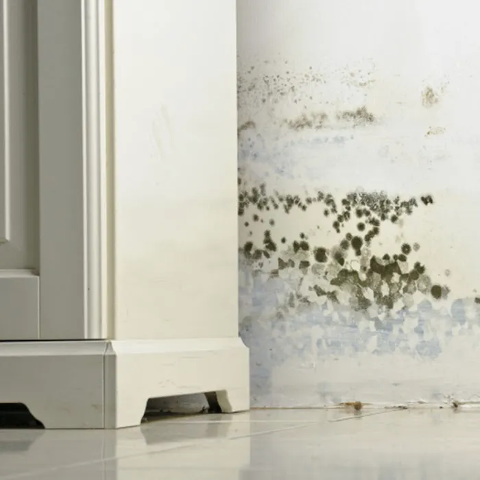 Rainbow International of North Atlanta Picture 9