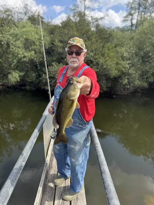 1-800-Packouts of Georgia Picture 5