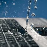 Elm Water Damage Restoration