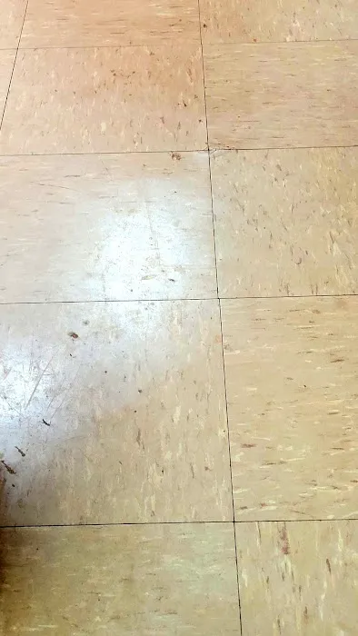 Water Damage Cleaning & Restoration of Toccoa Picture 2