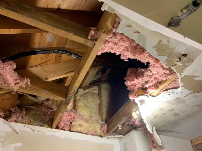 Pacific Restoration Picture 6