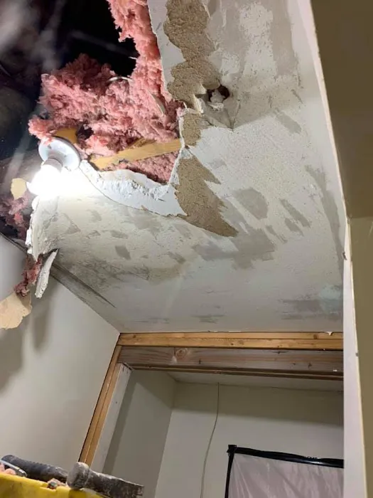 Pacific Restoration Picture 7