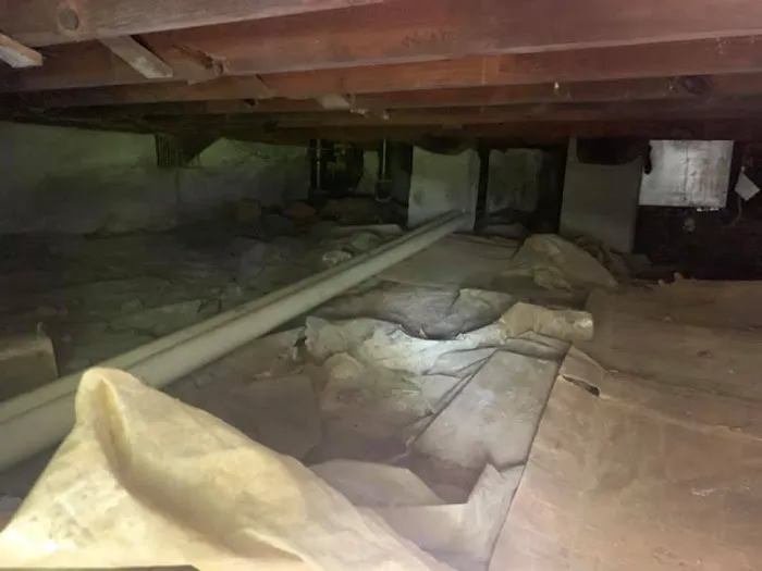 Pacific Restoration Picture 10