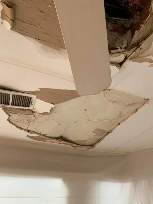 Pacific Restoration Picture 8