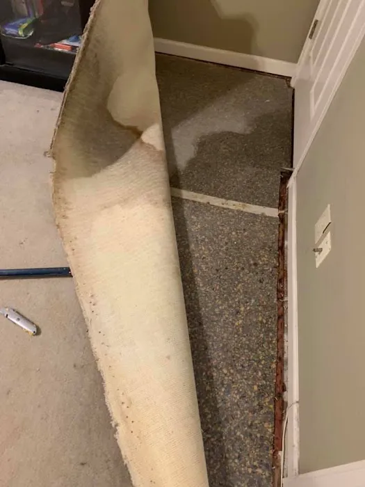 Pacific Restoration Picture 9